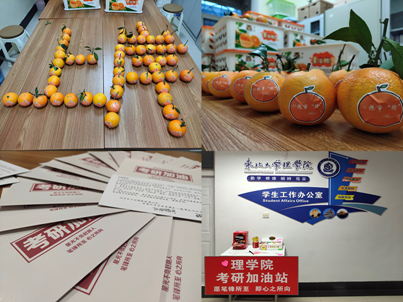 文本 描述已自动生成